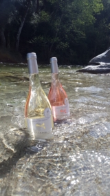 Domaine Vico Rosé & Blanc baignants dans la Restonica