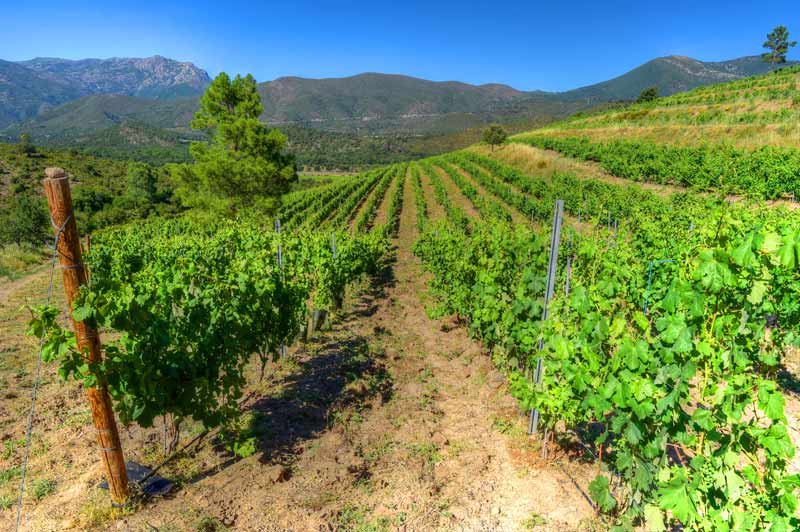 LE-LIEU-